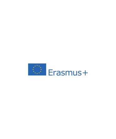 becas erasmus